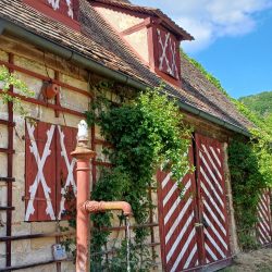 20250515_161618c-PetraPrase