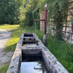 2444 brunnen__c-gvv_für_Tetzel´sche_Familienstiftung_+49(0)1776708254