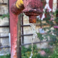 2445 wassertropfen_c-gvv_für_Tetzel´sche_Familienstiftung_+49(0)1776708254