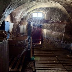 3147 alterstall_c-gvv_für_Tetzel´sche_Familienstiftung_+49(0)1776708254