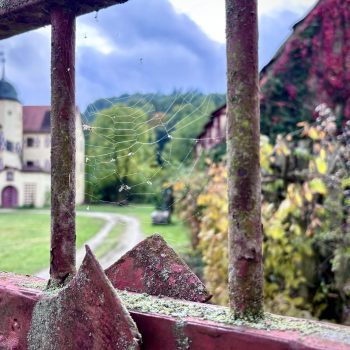 C 2025 G.H.v.Volckamer  Tetzel‘sche Familienstiftung